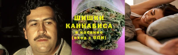 стаф Абаза