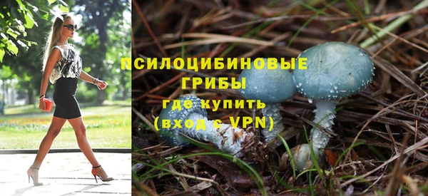 гидропоника Абдулино