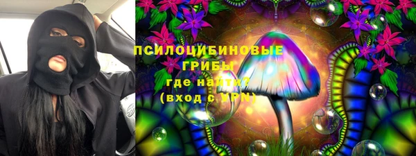 крисы Алексеевка