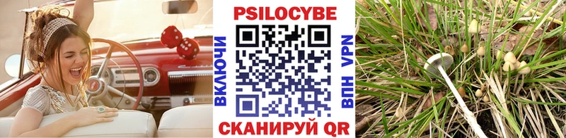 Псилоцибиновые грибы мицелий Задонск
